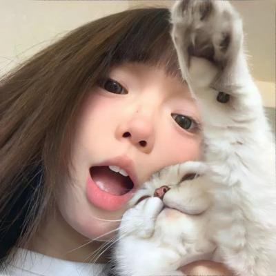 派特和麦特：再度出击