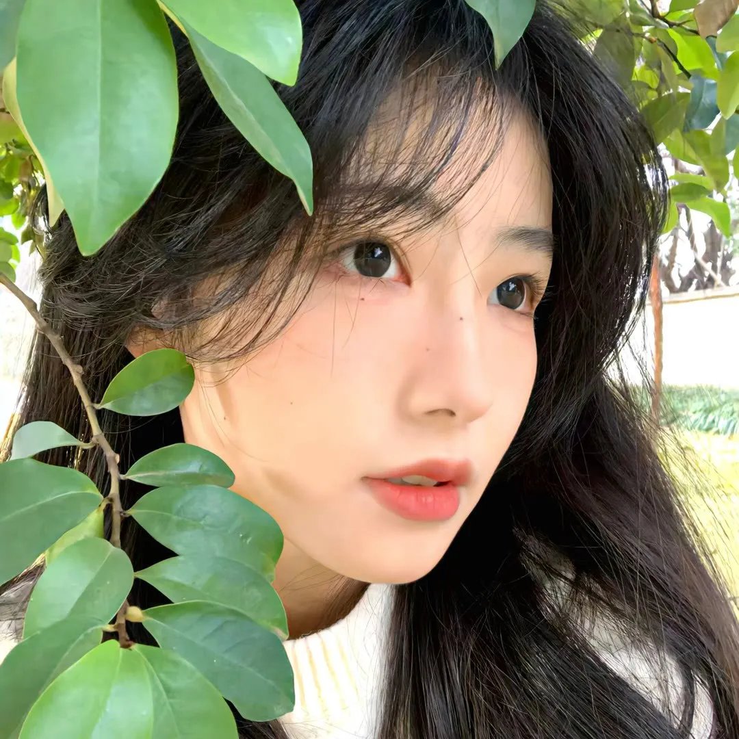 美容针